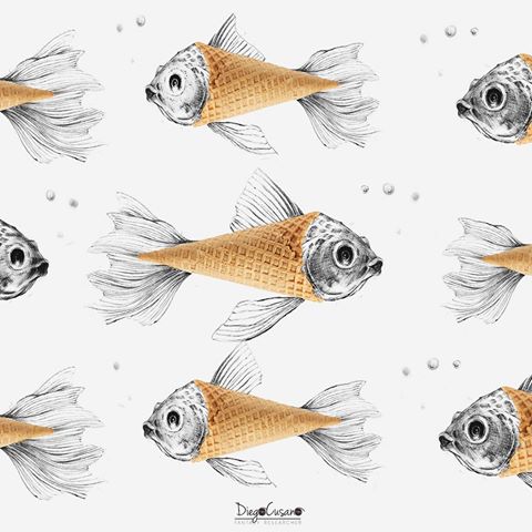 19624552_445061689208522_2715316442365952000_n