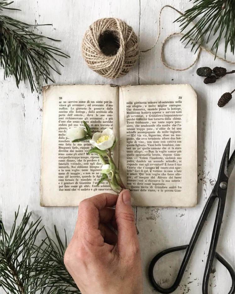 about-garden-balizroom-ellebori-ghirlande