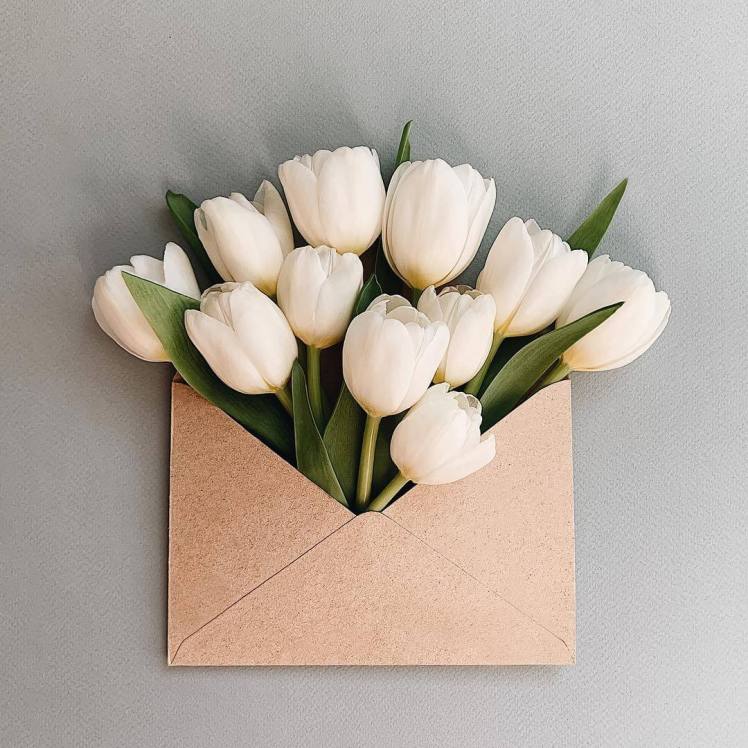 anna-remarchuk-envelope-series-balizroom-flowers-primavera-tulipani