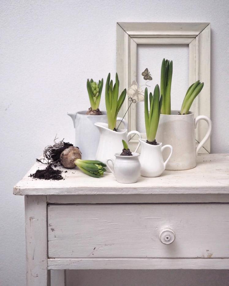 Instagram_aboutgarden_47692131_523083871517587_2409678223987050743_n